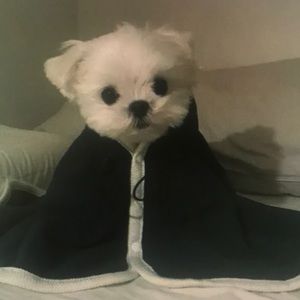 Meet your Posher, Casey